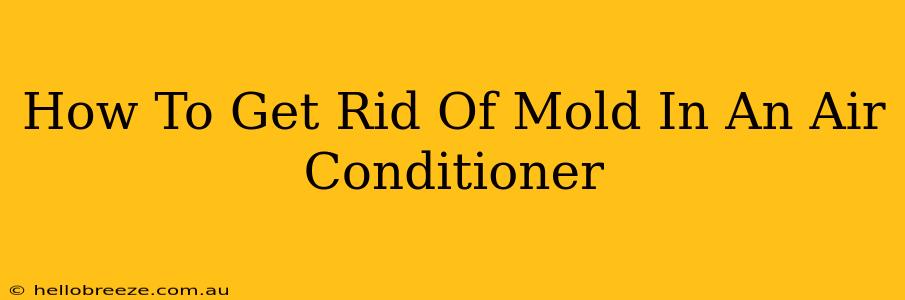 How To Get Rid Of Mold In An Air Conditioner