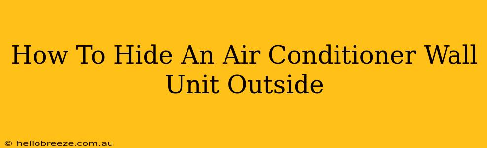 How To Hide An Air Conditioner Wall Unit Outside