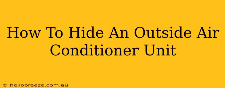 How To Hide An Outside Air Conditioner Unit