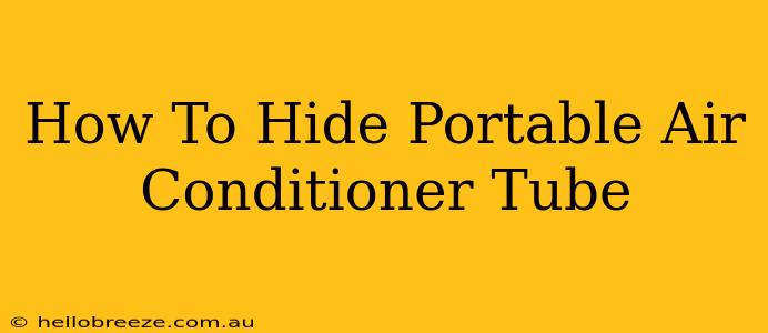 How To Hide Portable Air Conditioner Tube