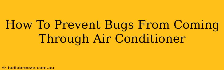 How To Prevent Bugs From Coming Through Air Conditioner