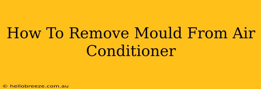 How To Remove Mould From Air Conditioner