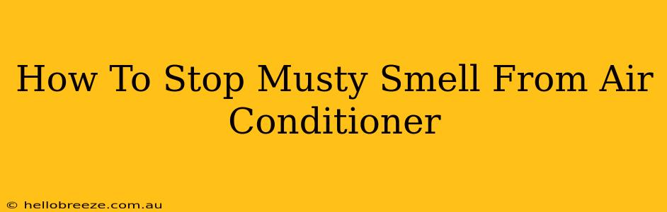 How To Stop Musty Smell From Air Conditioner