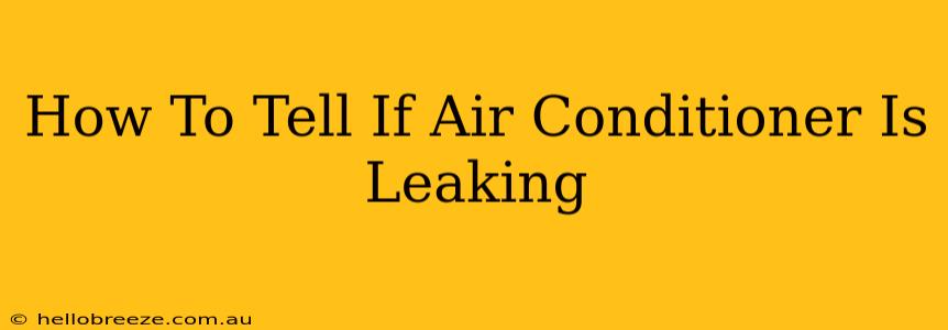 How To Tell If Air Conditioner Is Leaking