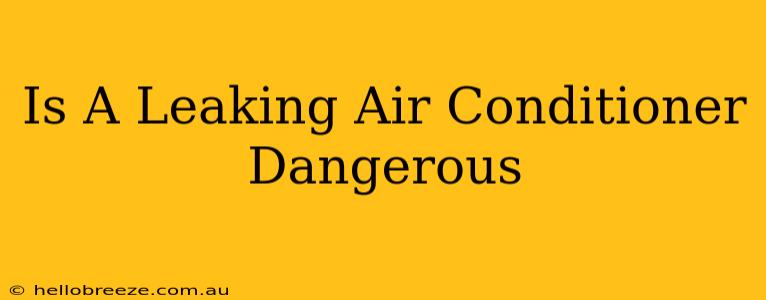 Is A Leaking Air Conditioner Dangerous