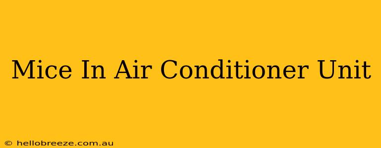 Mice In Air Conditioner Unit