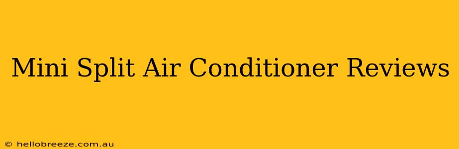 Mini Split Air Conditioner Reviews