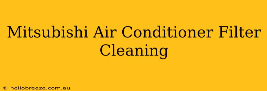 Mitsubishi Air Conditioner Filter Cleaning