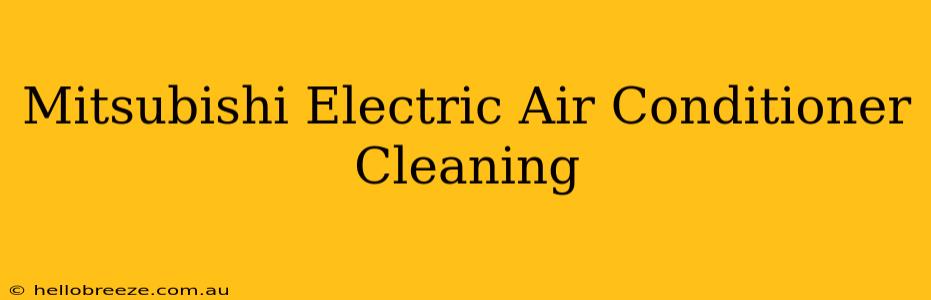 Mitsubishi Electric Air Conditioner Cleaning