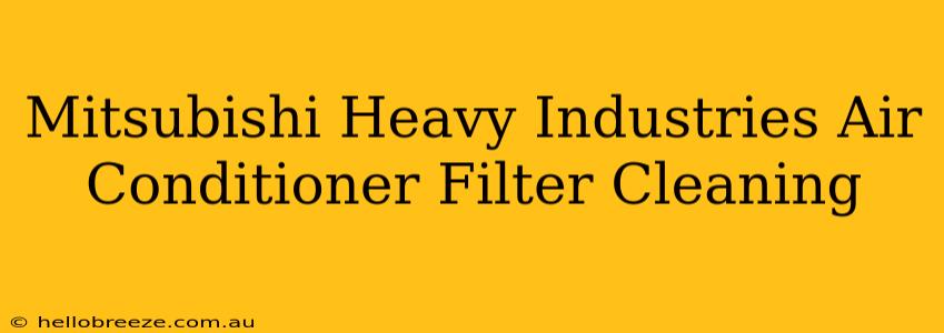 Mitsubishi Heavy Industries Air Conditioner Filter Cleaning