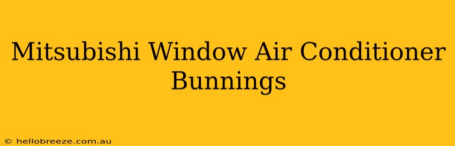 Mitsubishi Window Air Conditioner Bunnings