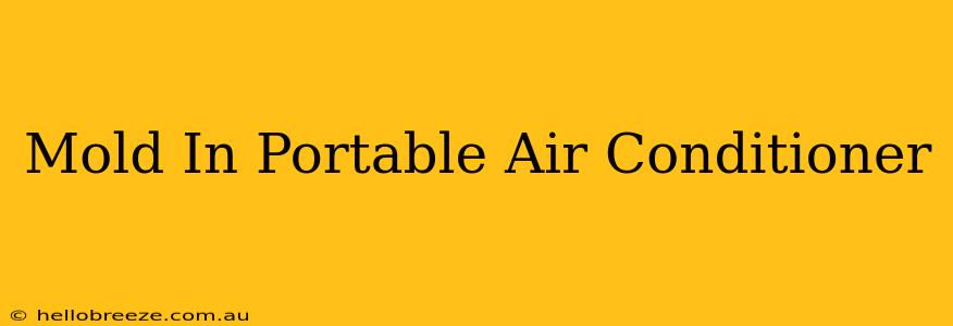 Mold In Portable Air Conditioner