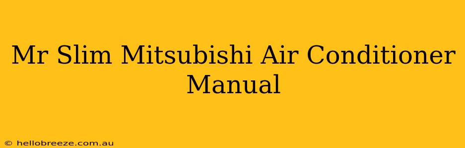 Mr Slim Mitsubishi Air Conditioner Manual