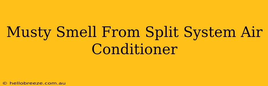 Musty Smell From Split System Air Conditioner