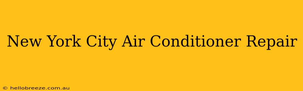 New York City Air Conditioner Repair