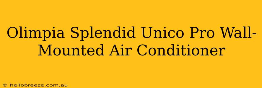 Olimpia Splendid Unico Pro Wall-Mounted Air Conditioner