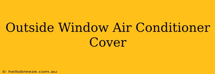 Outside Window Air Conditioner Cover