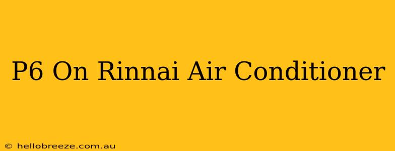 P6 On Rinnai Air Conditioner