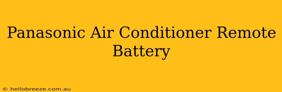 Panasonic Air Conditioner Remote Battery