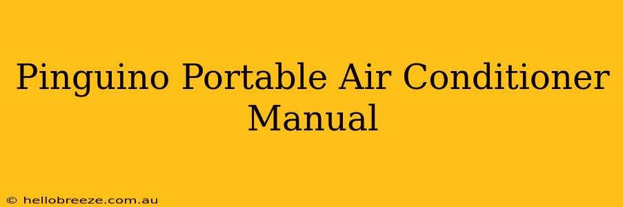 Pinguino Portable Air Conditioner Manual