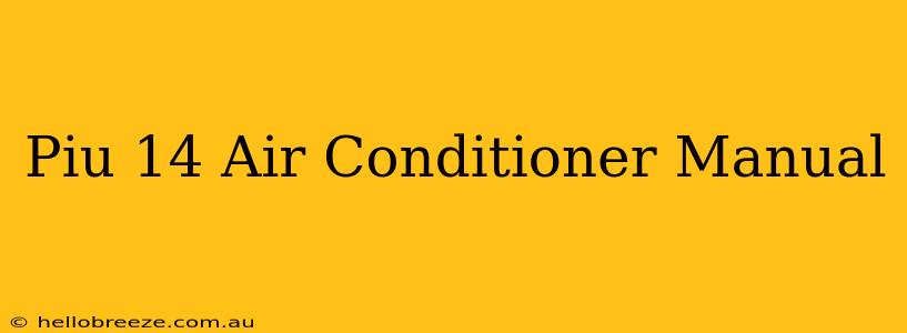 Piu 14 Air Conditioner Manual