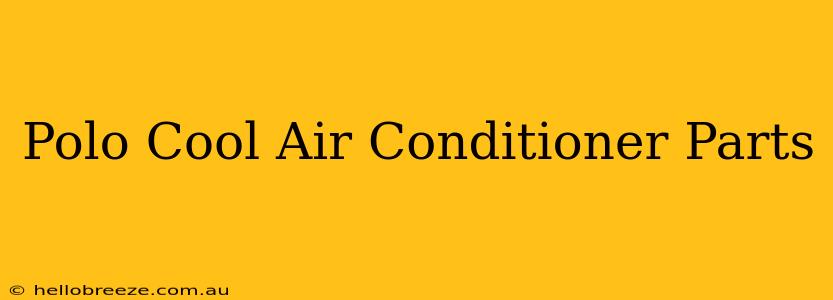 Polo Cool Air Conditioner Parts