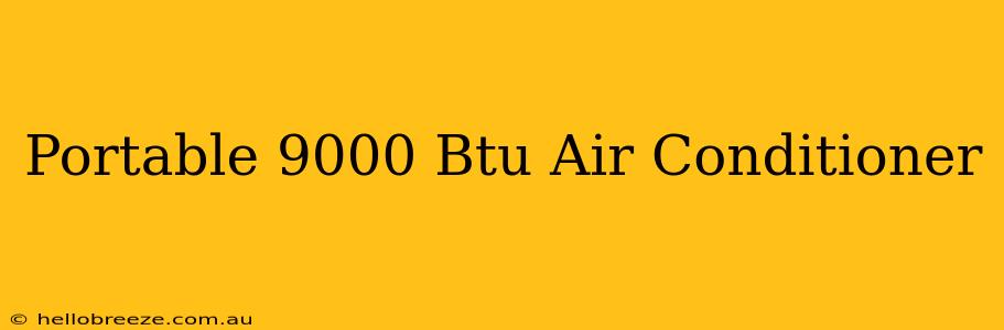 Portable 9000 Btu Air Conditioner