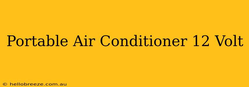 Portable Air Conditioner 12 Volt