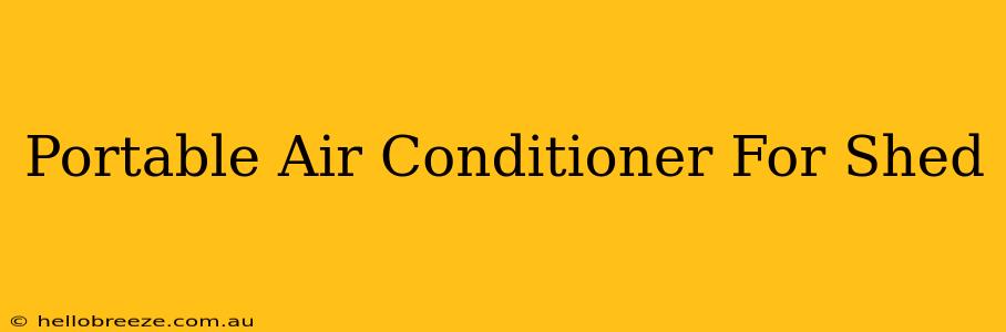 Portable Air Conditioner For Shed