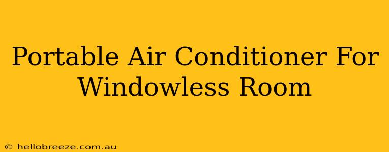 Portable Air Conditioner For Windowless Room