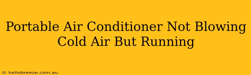 Portable Air Conditioner Not Blowing Cold Air But Running