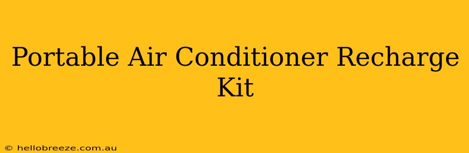 Portable Air Conditioner Recharge Kit