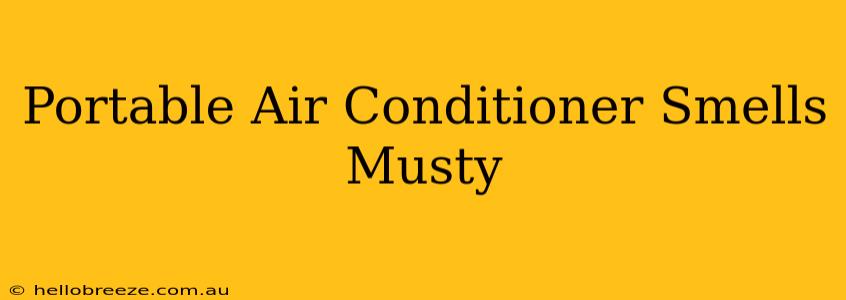 Portable Air Conditioner Smells Musty