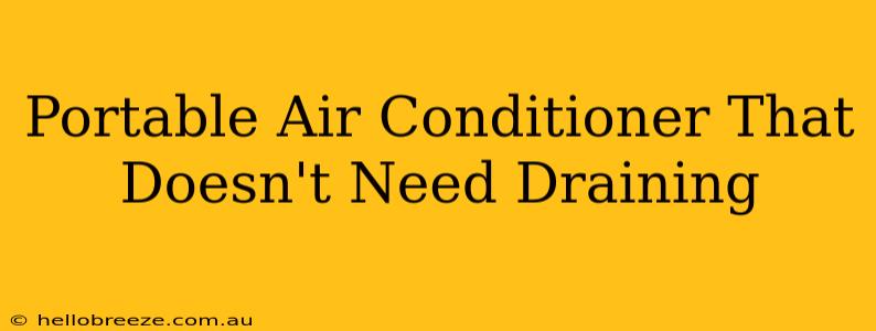 Portable Air Conditioner That Doesn't Need Draining