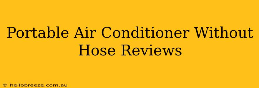 Portable Air Conditioner Without Hose Reviews