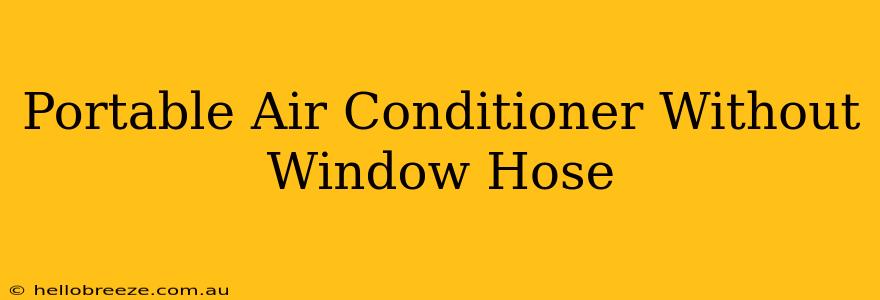 Portable Air Conditioner Without Window Hose