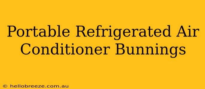 Portable Refrigerated Air Conditioner Bunnings