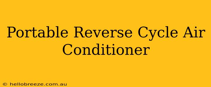 Portable Reverse Cycle Air Conditioner