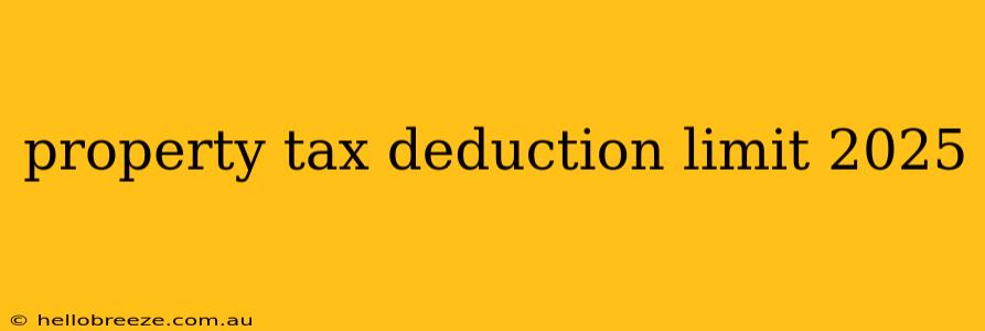 property tax deduction limit 2025