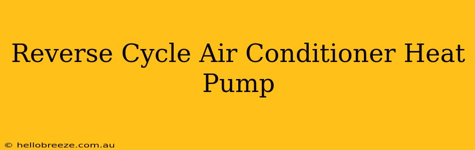 Reverse Cycle Air Conditioner Heat Pump