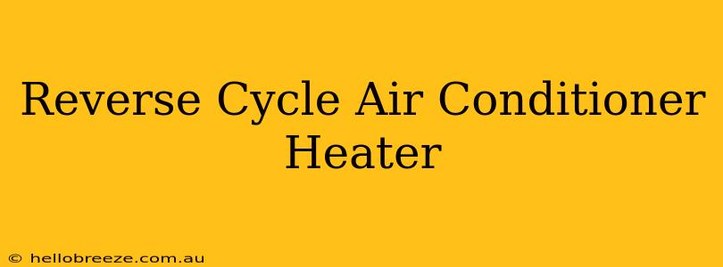 Reverse Cycle Air Conditioner Heater