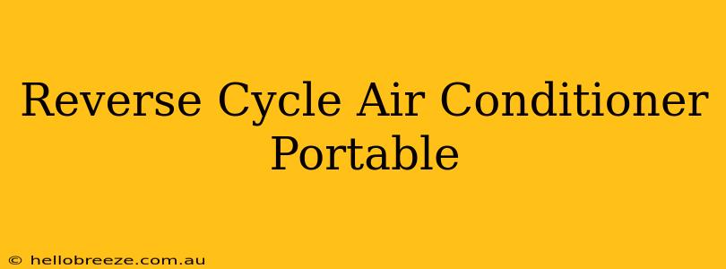 Reverse Cycle Air Conditioner Portable