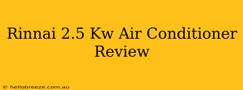 Rinnai 2.5 Kw Air Conditioner Review