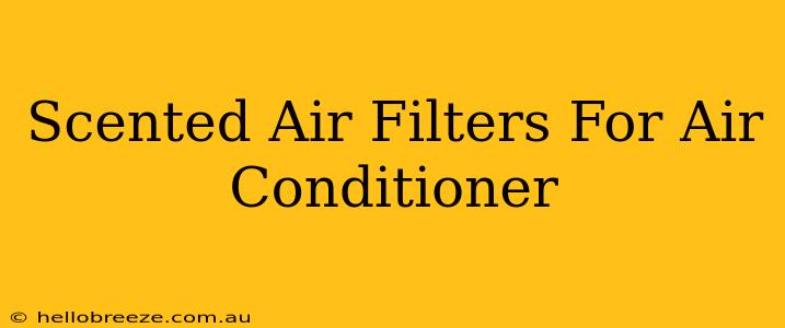 Scented Air Filters For Air Conditioner