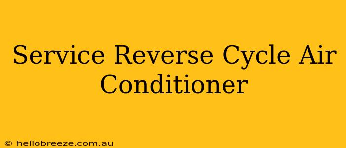 Service Reverse Cycle Air Conditioner