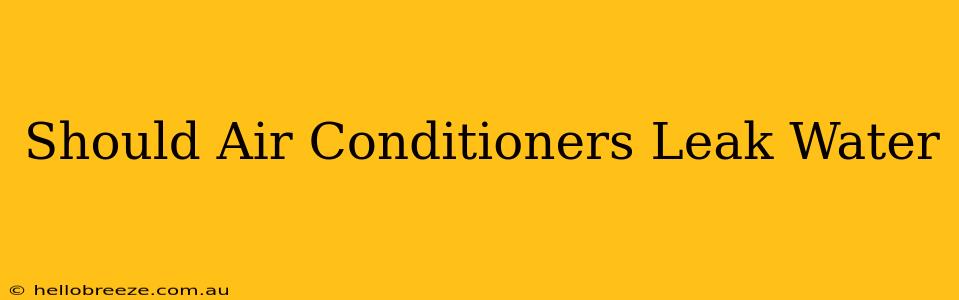 Should Air Conditioners Leak Water