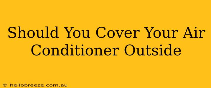 Should You Cover Your Air Conditioner Outside