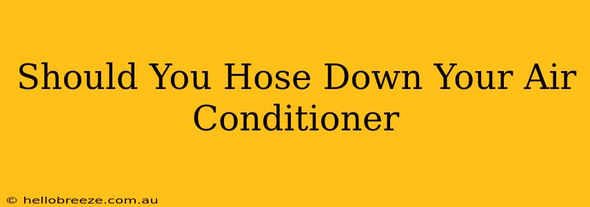 Should You Hose Down Your Air Conditioner