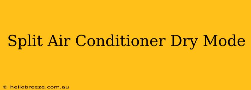 Split Air Conditioner Dry Mode