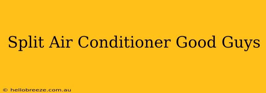 Split Air Conditioner Good Guys